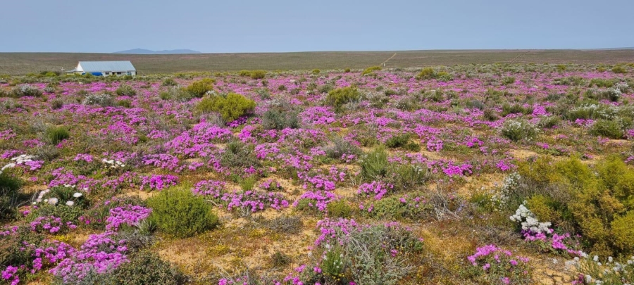 3 Bedroom Property for Sale in Nieuwoudtville Northern Cape